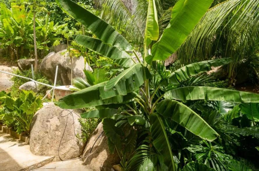 Anse Etoile Auguste Holiday Residence מראה חיצוני תמונה